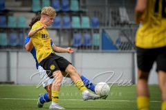 NVH_0995