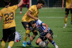NVH_0337