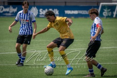 NVH_0556