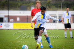 NVH_0597