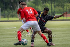 NVH_0091