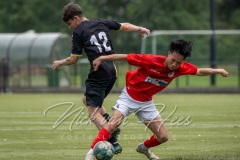 NVH_0658