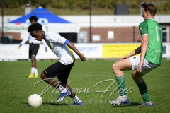 NVH_0247