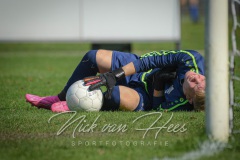 NVH_0809