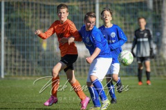 NVH_0195