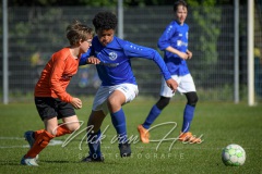 NVH_0667