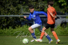 NVH_0878