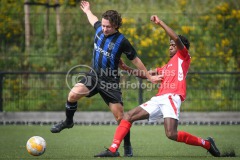 NVH_0299