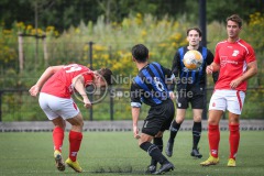 NVH_0452