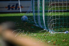 NVH_0921