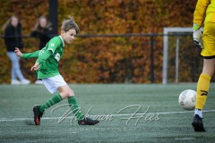 NVH_0064