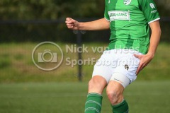 NVH_0409