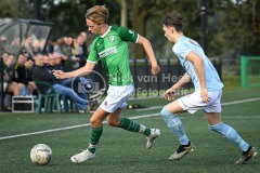 NVH_0955