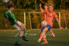 NVH_0197