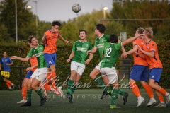 NVH_0495
