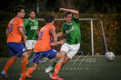 NVH_0647