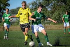 NVH_0364