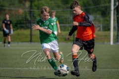 NVH_0593