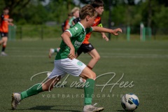 NVH_0789