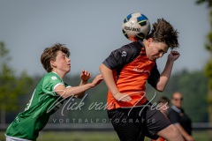 NVH_0954