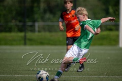 NVH_0972