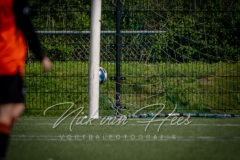 NVH_0995