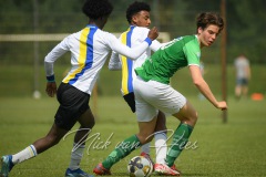 NVH_0352
