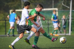 NVH_0297