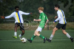 NVH_0366