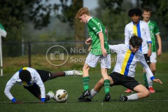 NVH_0648