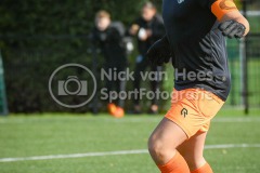 NVH_0119