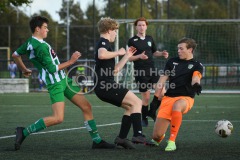 NVH_0359