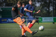 NVH_0387