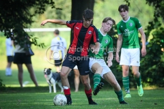 NVH_0520