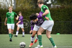 NVH_0547