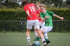 NVH_0636