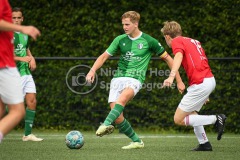 NVH_0929