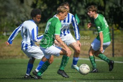 NVH_0095