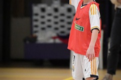 NVH_0294