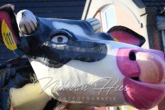NVH_0463
