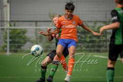 NVH_0452