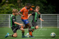 NVH_0549