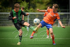 NVH_0599