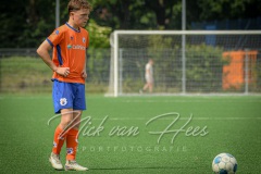 NVH_0647