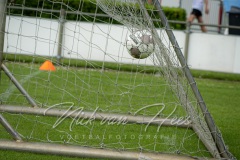 NVH_0982