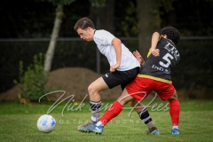 NVH_0371