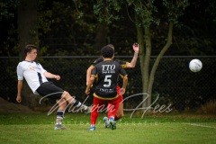 NVH_0419
