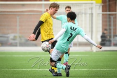NVH_0365