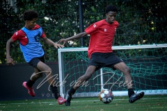 NVH_0568