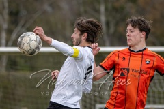 NVH_0919